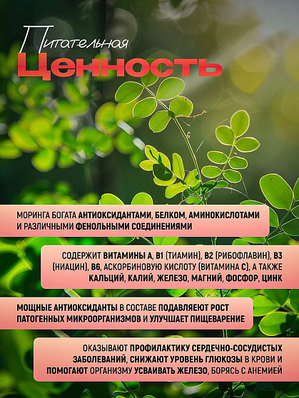 Моринга листья сушеные п/б, 40 г, тайский чай