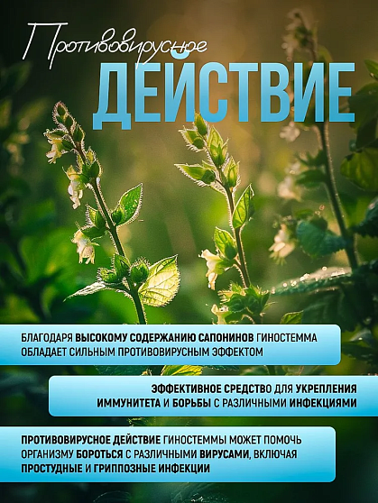 Гиностемма (Джиаогулан) б/п, 50 г, тайский чай