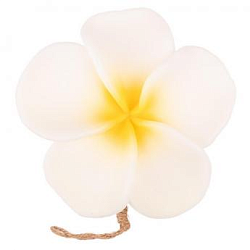 Тайское фигурное мыло Франжипани