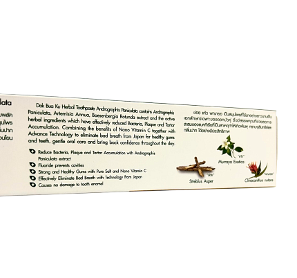 Зубная паста антибактериальная «Андрографис метельчатый» Twin Lotus, 100 г, тайские зубные пасты