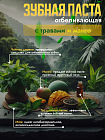Зубная паста с травами и манго 5Star4A, 25 г